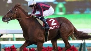 【京都大賞典 出走馬決定順】久々の長距離馬3頭などフルゲート18頭が登録
