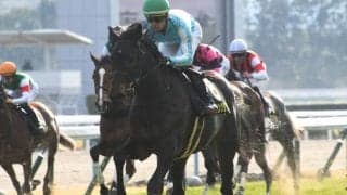 【秋華賞 出走馬決定順】フルゲート18頭に21頭　特別登録の段階ではレイパパレらが3/6の抽選