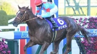 【毎日王冠】ダービー2着サリオスはルメール騎手、前走圧勝ザダルは田辺裕信騎手/想定騎手