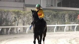 【東京盃】枠順と見所 菜七子コパノキッキングは4枠7番