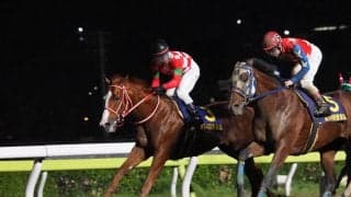 【東京盃】ジャスティンが抜け出す！マテラスカイは痛恨の出遅れ