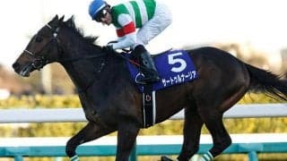 【次走】皐月賞馬サートゥルナーリアはジャパンCで復帰へ