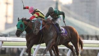 【大井・レディスプレリュード予想】過去の傾向から浮かび上がってきた “4つの好走条件”！ クリアしたのは？/地方競馬レース展望