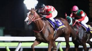 【大井・東京盃結果】ジャスティンが押し切り重賞2勝目