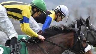 【秋華賞】マジックキャッスルは大野拓弥騎手と新コンビ、浜中俊騎手の騎乗停止で