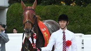 【次走】ラッキーライラックはC.ルメール騎手と新コンビでエリザベス女王杯へ