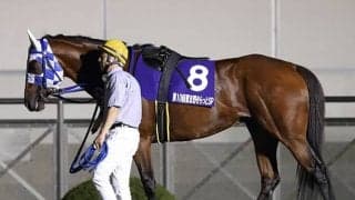 【東京盃】浦和のフランシスコダイゴは出走取消