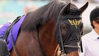 【JRA】ダイアトニックが全治9ヶ月以上の剥離骨折、今年の函館SSなど重賞2勝