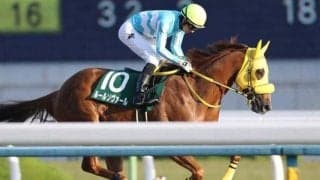 【門別競馬情報】転入4連勝で「道営記念」に王手かルールソヴァール！復権果たせるかスーパーステション「第53回瑞穂賞H2」/地方競馬情報