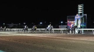 【日本テレビ盃】ルメール「最後は疲れてしまいました」