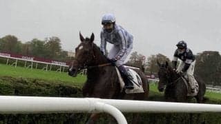 武豊騎乗 アマレナが圧勝！通算3勝目