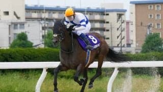 グランダム・ジャパン2020 古馬シーズン第11代女王はサラーブ！