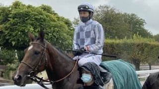 【海外競馬】アマレナ 次走はG3に出走予定