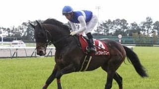 サリオスが本命の毎日王冠。「東京・芝のスペシャリスト」も外せない