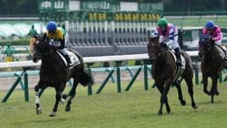 【新馬/中山5R】ドゥラメンテ産駒 タイトルホルダーがデビューV