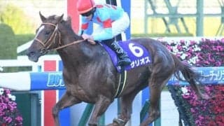 【毎日王冠予想】初の古馬相手でもサリオス中心!!/JRAレース展望