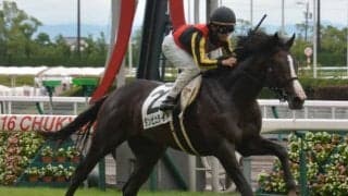 【京都大賞典予想】去勢明け3走目ダンビュライト、新馬戦は不良馬場で勝利/JRAレース展望