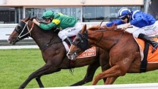 【豪州競馬】オーレカークがG1連勝、ロードカナロア産駒タガロアは大敗/海外競馬レース結果