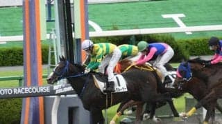 【JRA】史上初！2010年ファンタジーS覇者マルモセーラを母にもつ産駒3頭が同日勝利