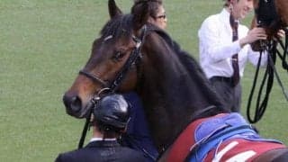 【京都大賞典前日オッズ】キセキが3.8倍で1番人気