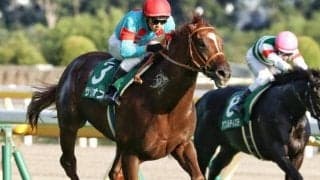 【毎日王冠前日オッズ】サリオスが1.3倍で1番人気