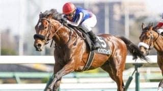 【京都大賞典】直近1年で6-0-0-5！「安田翔伍厩舎×横山典弘騎手」のキングオブコージ