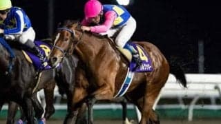 【門別・エーデルワイス賞枠順確定】ラストリージョは1枠1番、ソロユニットは6枠11番