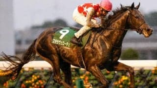 【サウジアラビアRC結果】ステラヴェローチェが突き抜け無傷の2連勝！