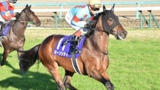 【次走】青葉賞覇者オーソリティはアルゼンチン共和国杯が復帰目標