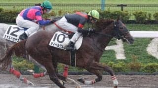 【東京4R新馬戦結果】ディールクルムがゴール前で差し切りV