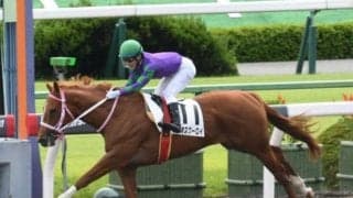 【京都4R新馬戦結果】ディオスクーロイが5馬身差で圧勝