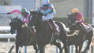 【京都大賞典予想】得意舞台のグローリーヴェイズに期待/JRAレース展望