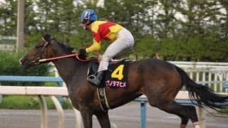 【兼六園ジュニアC予想】無敗サブノタマヒメ、重賞連勝へ。相手はシンフジ1頭!?/NARレース展望