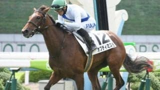 【京都4R新馬戦結果】12番人気オプティミスモが押し切りV