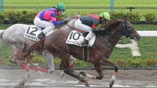 【新馬/東京4R】ディールクルムがデビューV！