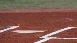 【大学野球】東農大オホーツクのタイシンガー・ブランドン大河らがプロ野球志望届を提出