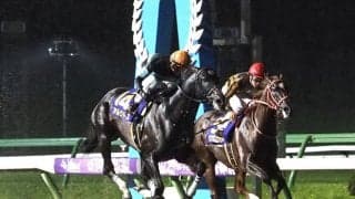 【南部杯】アルクトスが悲願のG1制覇