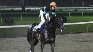 【南部杯】田辺「余裕を持って進めた」アルクトスが交流G1初制覇！