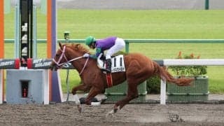 【新馬/京都4R】ディオスクーロイがデビューV！5馬身差完勝