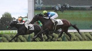 【新馬/京都5R】アールドヴィーヴルが測ったような差し切り！デビューV