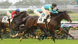 【新馬/東京5R】3連単444万円超え！16番人気 ディープリッチが勝利で大波乱