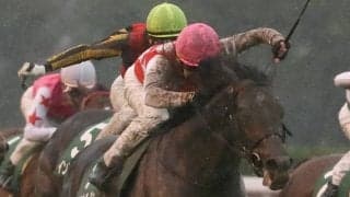 【サウジアラビアRC】横山典「思った通りの競馬」ステラヴェローチェがデビュー2連勝！