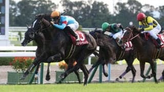 【京都大賞典】グローリーヴェイズが秋初戦を勝利！