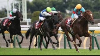 【毎日王冠】サリオスが古馬を圧倒！秋初戦を勝利