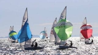 全日本予選、蒲郡・中部学生ヨット個人選手権成績