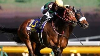【府中牝馬S 出走馬決定順】フルゲート18頭にラヴズオンリーユーなど10頭の登録
