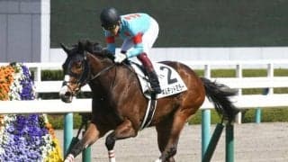 【信越Sハンデ確定】ギルデッドミラーは52kg、ダノンチェイサーは56kg