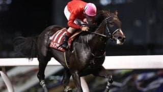 【鎌倉記念】準重賞快勝ピースフラッグは4枠5番、前走大差勝ちナジャは4枠4番