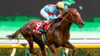 【毎日王冠】売上は59億8705万0300円で昨年から増加