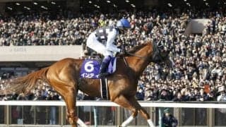 【マイルチャンピオンシップ南部杯予想】豪華メンバーが競いあうJBCを占う重要な一戦！/NARレース展望